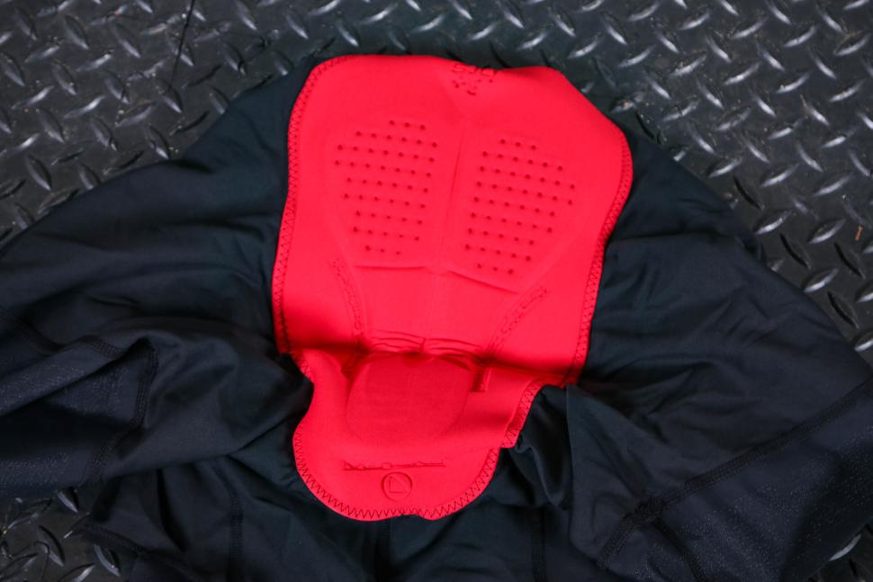 2025 Endura Loop Bibshorts - chamois.jpg