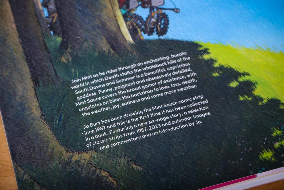 2025 Lost Summers and Half-Forgotten Afternoons - A Mint Sauce collection by Jo Burt - back cover detail.jpg