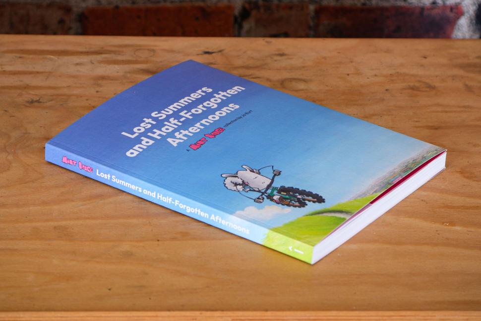 2025 Lost Summers and Half-Forgotten Afternoons - A Mint Sauce collection by Jo Burt - cover.jpg