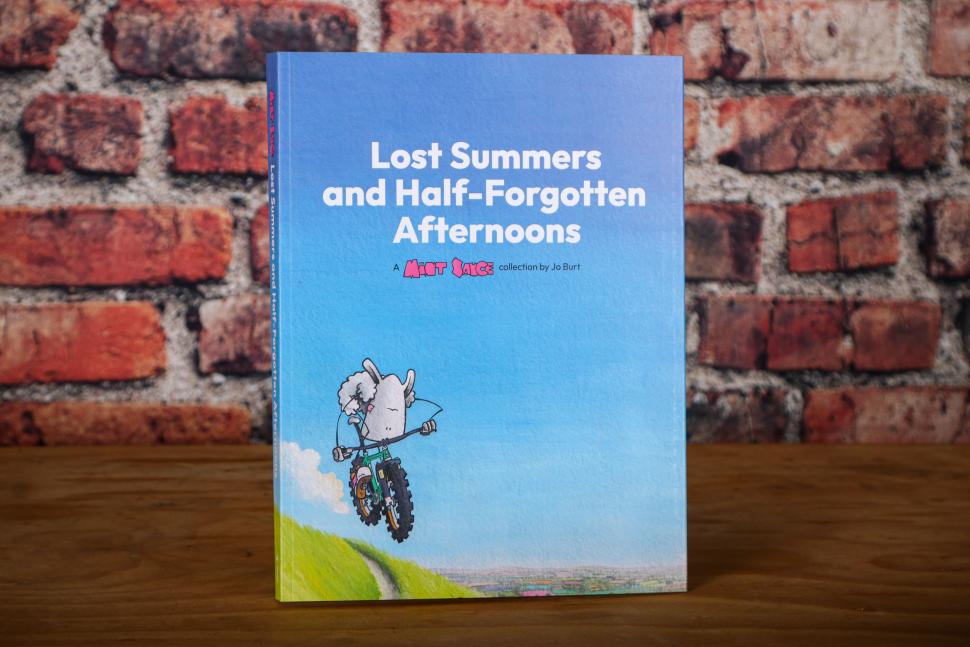 Lost Summers and Half-Forgotten Afternoons: A Mint Sauce collection by Jo Burt