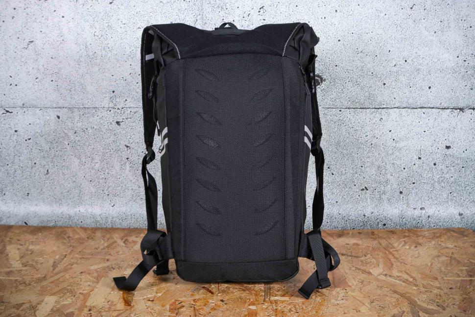 2025 Proviz Reflective Rolltop Backpack - padding.jpg