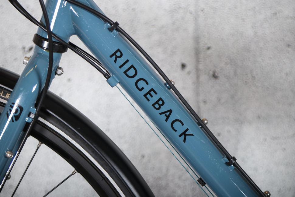 2025 Ridgeback Tour - down tube detail.jpg