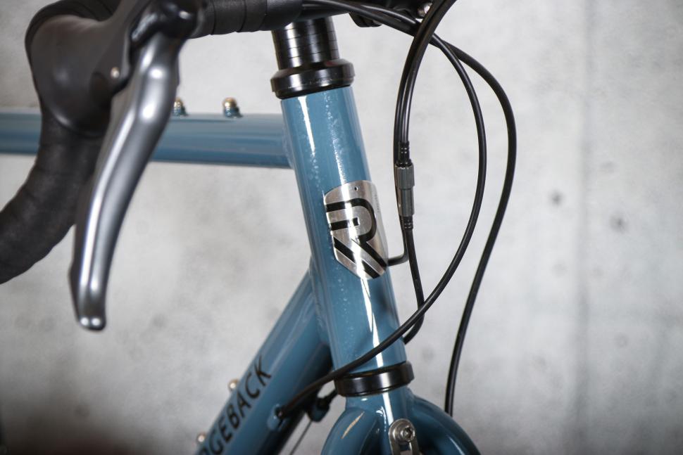 2025 Ridgeback Tour - head tube badge.jpg