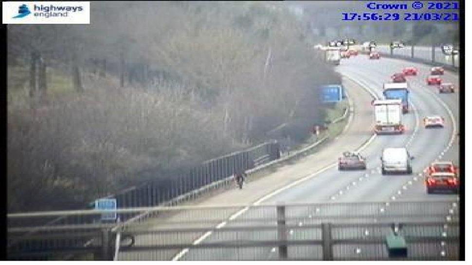 M40 cyclist (Highways England)