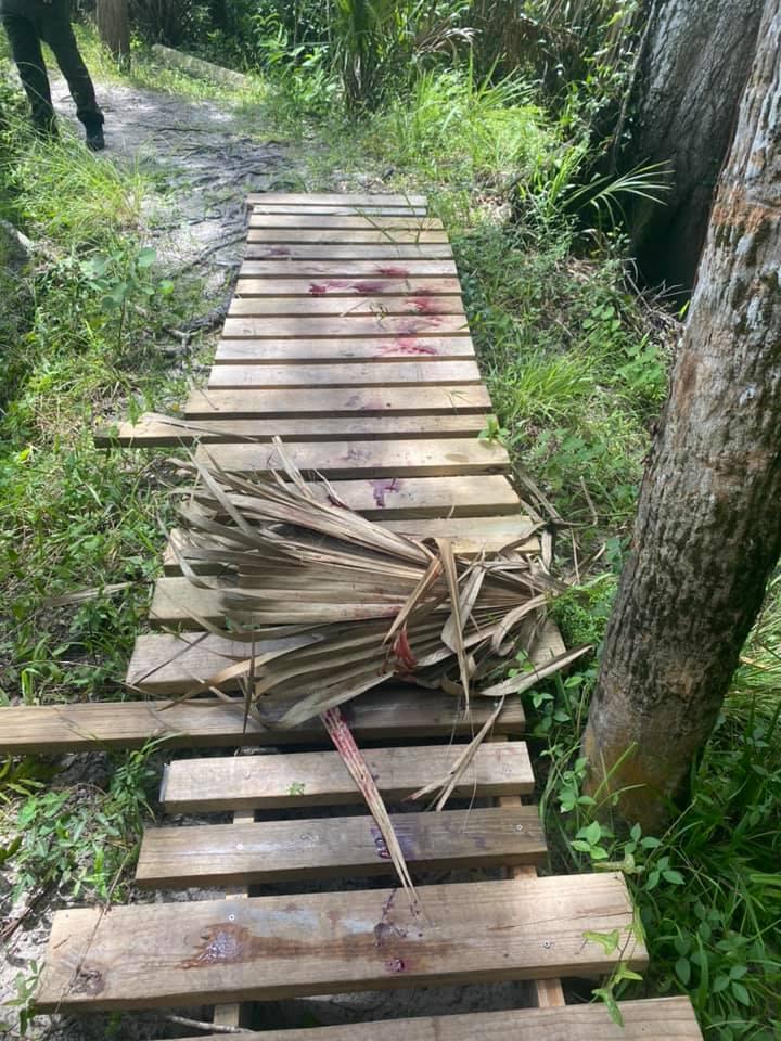Alligator attack site (picture via Martin County Sheriff's Office on Facebook).PNG