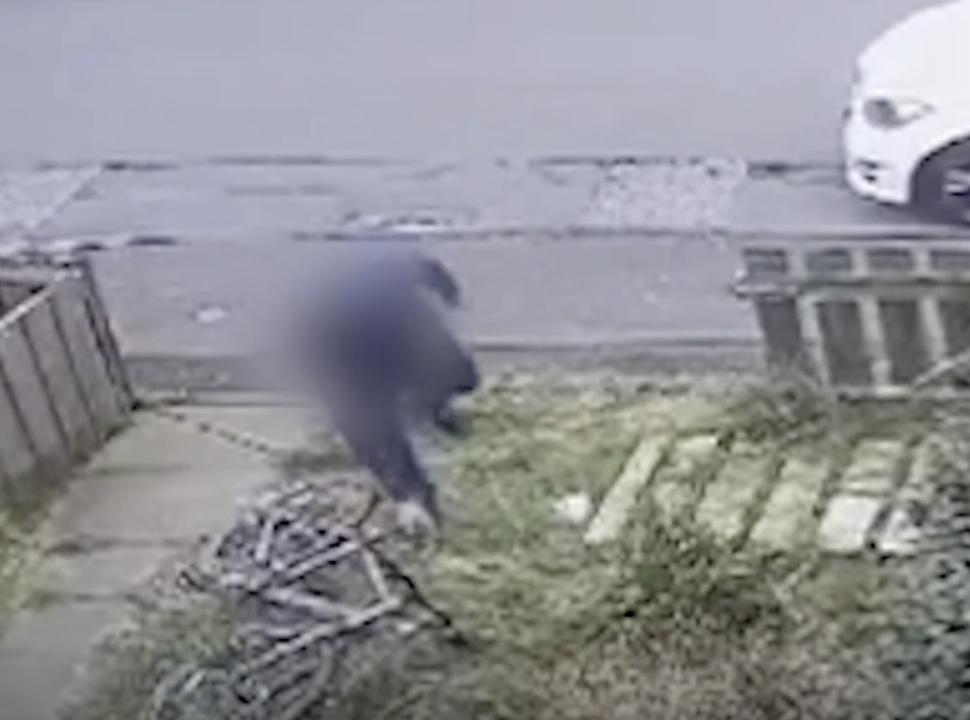 Amazon delivery driver stealing boy's bike 2