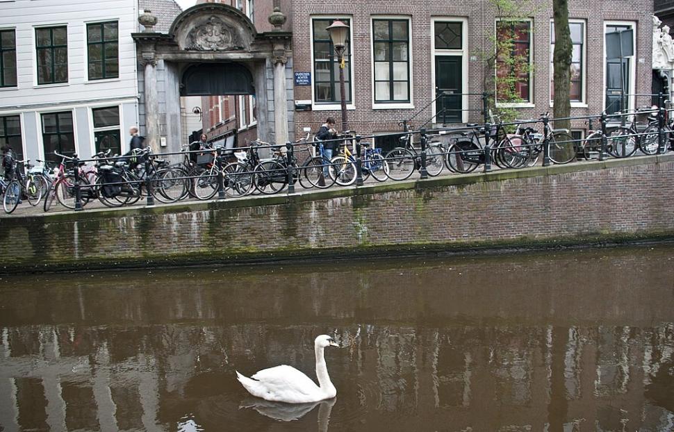 Amsterdam bikes on railings