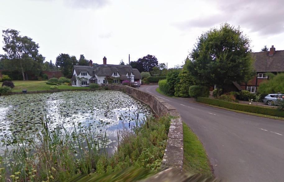 Badger, Shropshire (via StreetView)