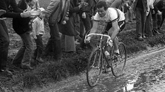Bernard Hinault, 1981 Paris-Roubaix