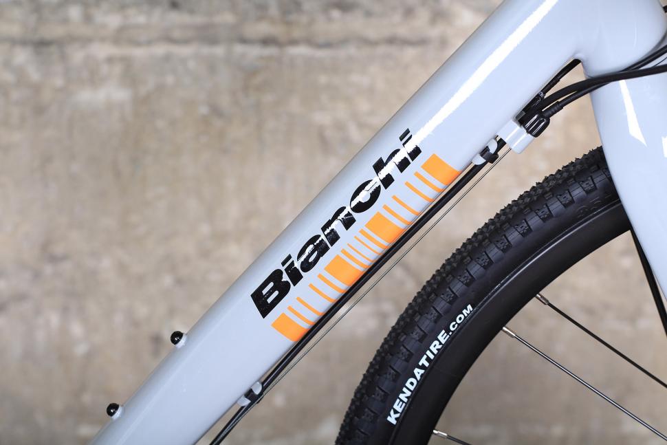 Bianchi Allroad - down tube.jpg
