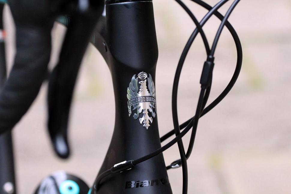 Bianchi Intenso Disc 105 - head tube badge.jpg
