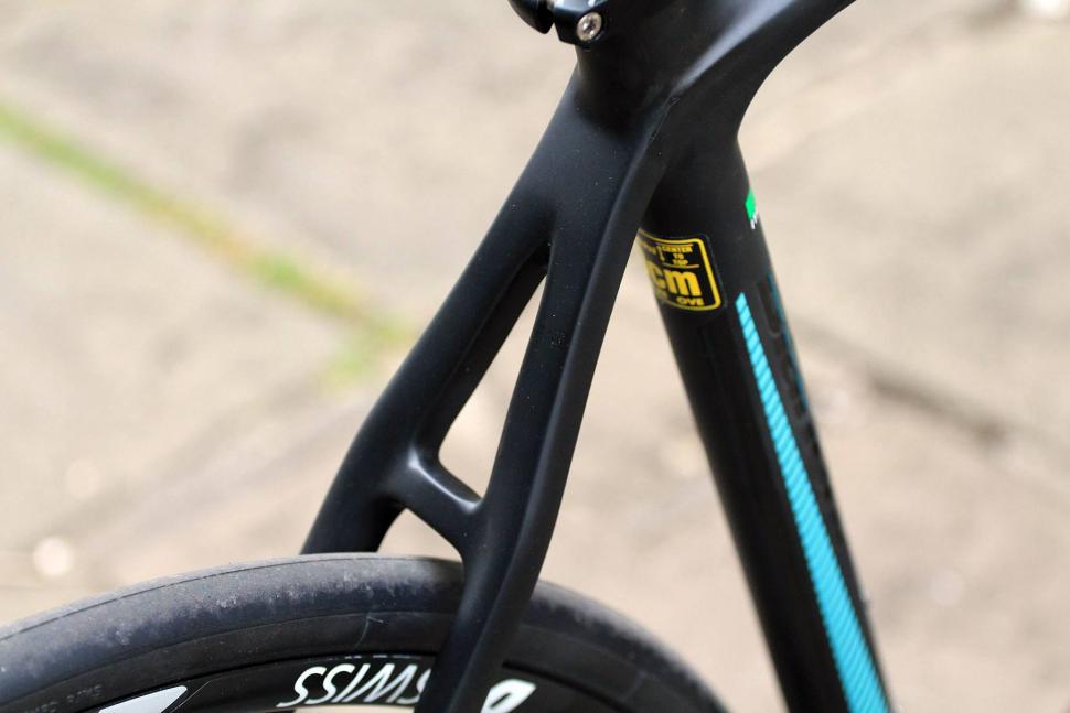 Bianchi Intenso Disc 105 - seat stays.jpg