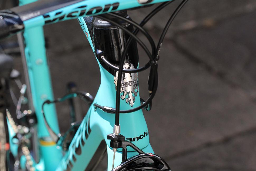 Bianchi Oltre XR4 - head tube badge.jpg
