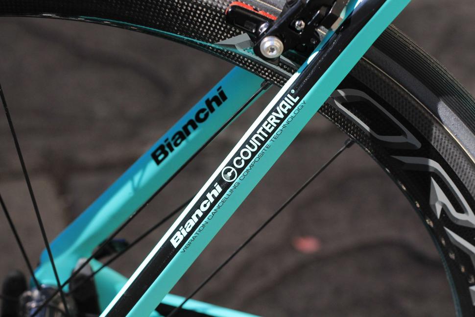 Bianchi Oltre XR4 - seat stays detail.jpg