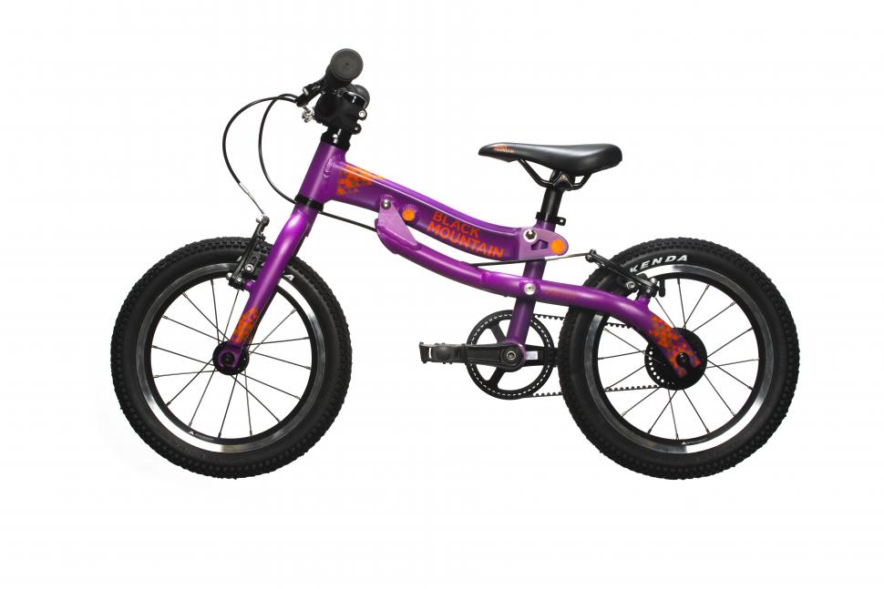 black_mountain_pinto_4_purple_non_driveside.jpg