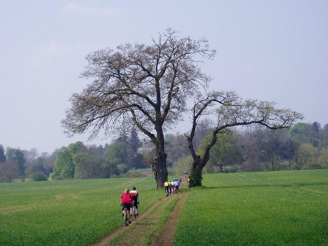 Bridleway_in_Ettington,_Warwickshire