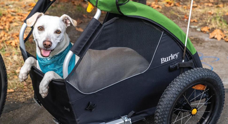 Burley Tail Wagon