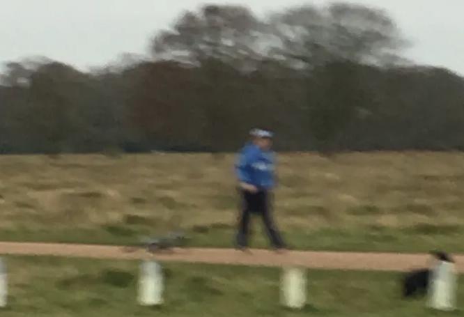 bushy park assault - via MET police