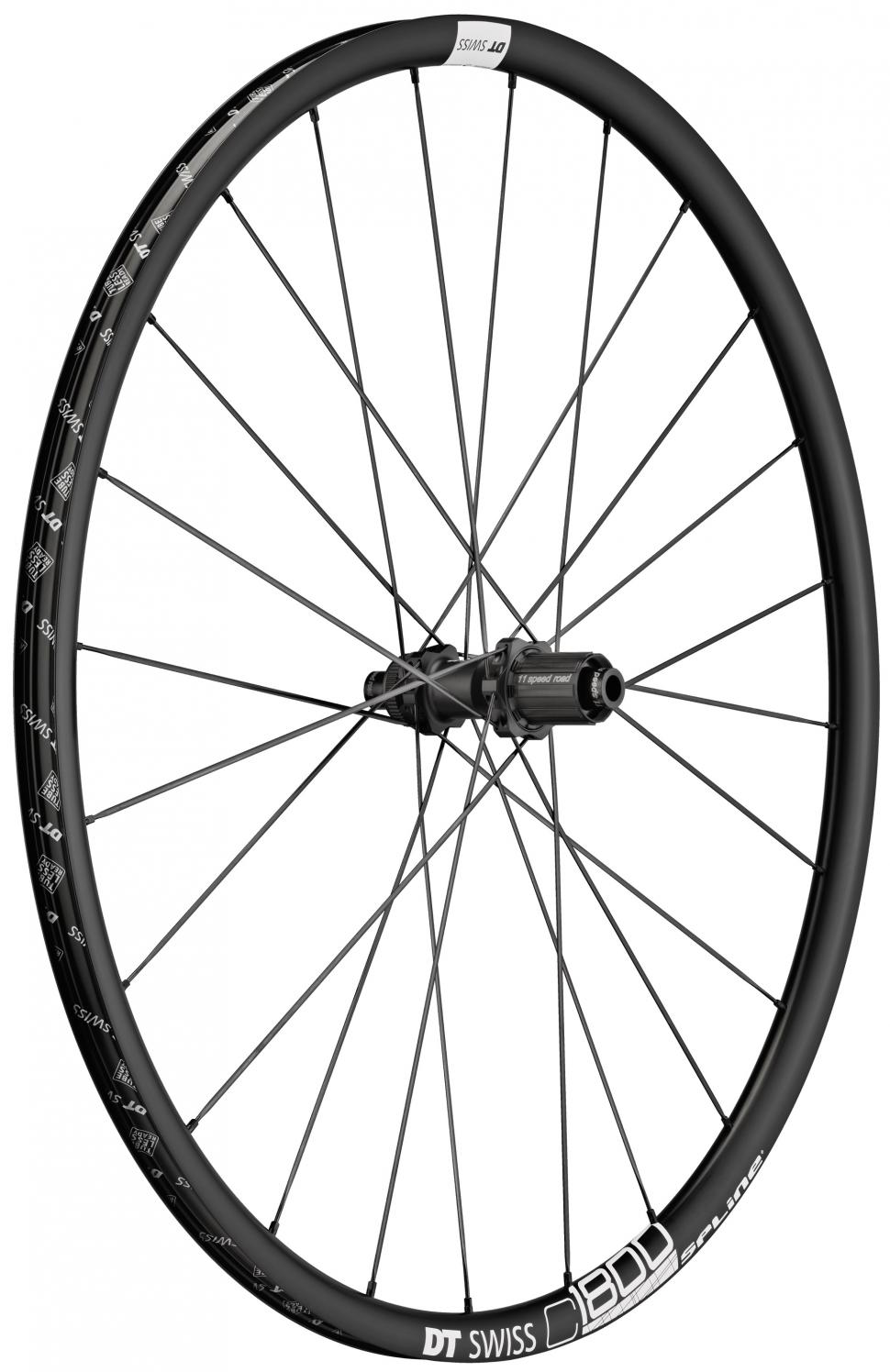 C_1800_SPLINE_23_DB_RW.jpg