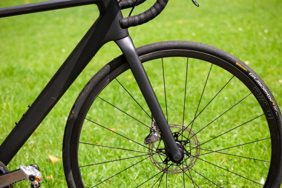 Canyon Ultimate CF Evo Disc 10.0 LTD - fork.jpg