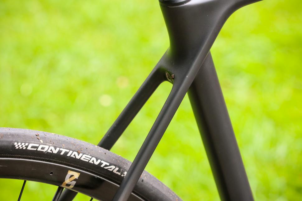 Canyon Ultimate CF Evo Disc 10.0 LTD - seat stays.jpg