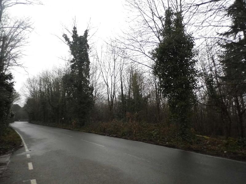 Chart Lane - licensed under CC BY 2.0 by David Howard flickr creative commons