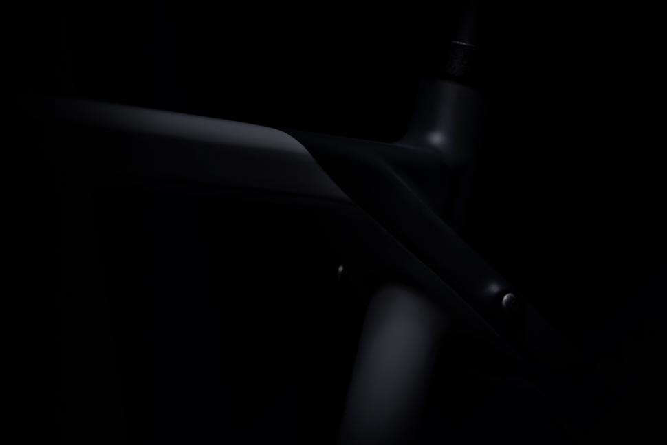 2021 crow_teaser_image 8