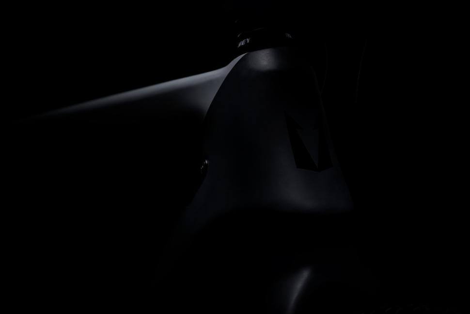 2021 crow_teaser_image 9