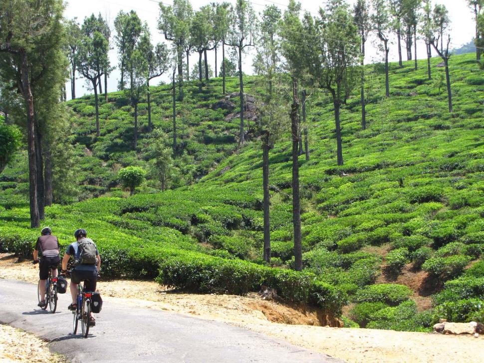 cycle-sri-lanka-explore