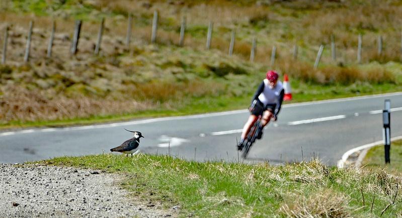 cyclist riding alone 