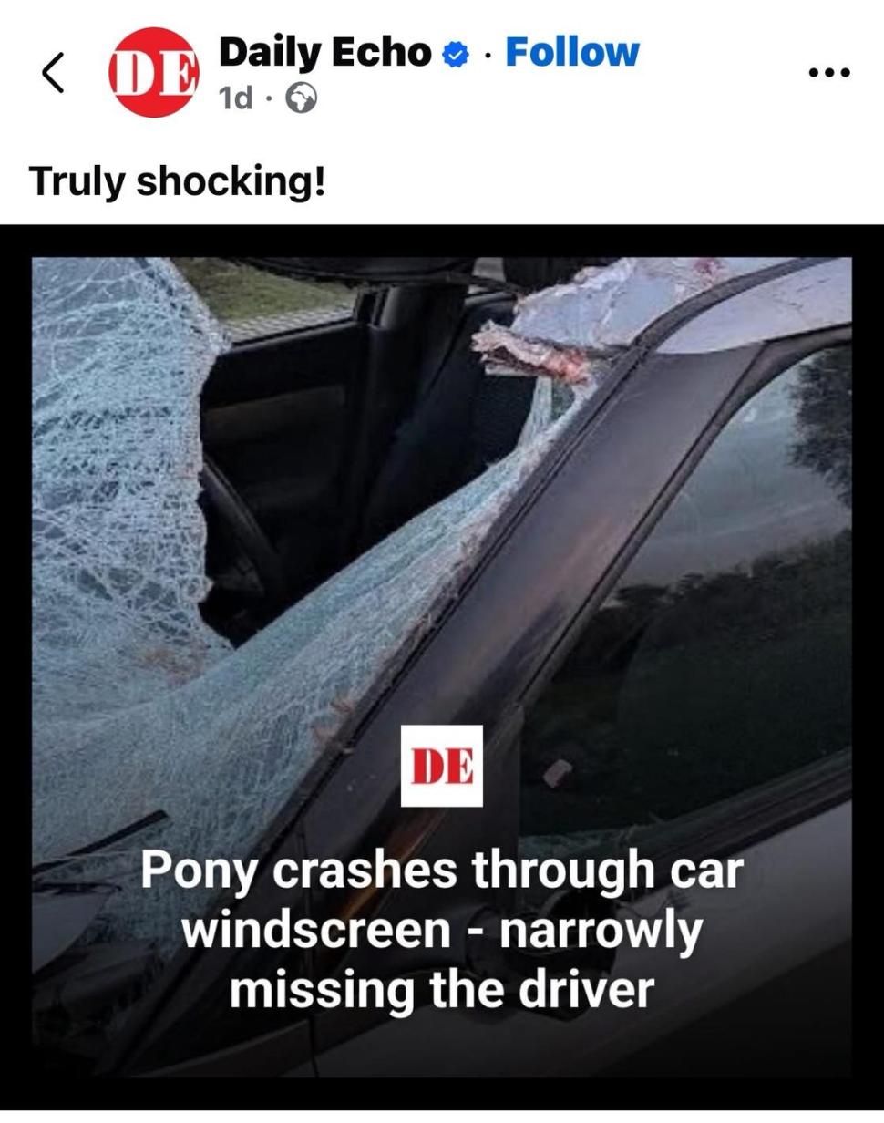 Daily Echo Pony crashes into car headline