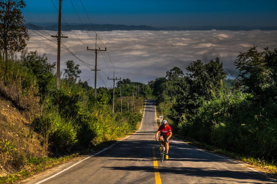 Doi Pha Tang Thailand (Steve Thomas)