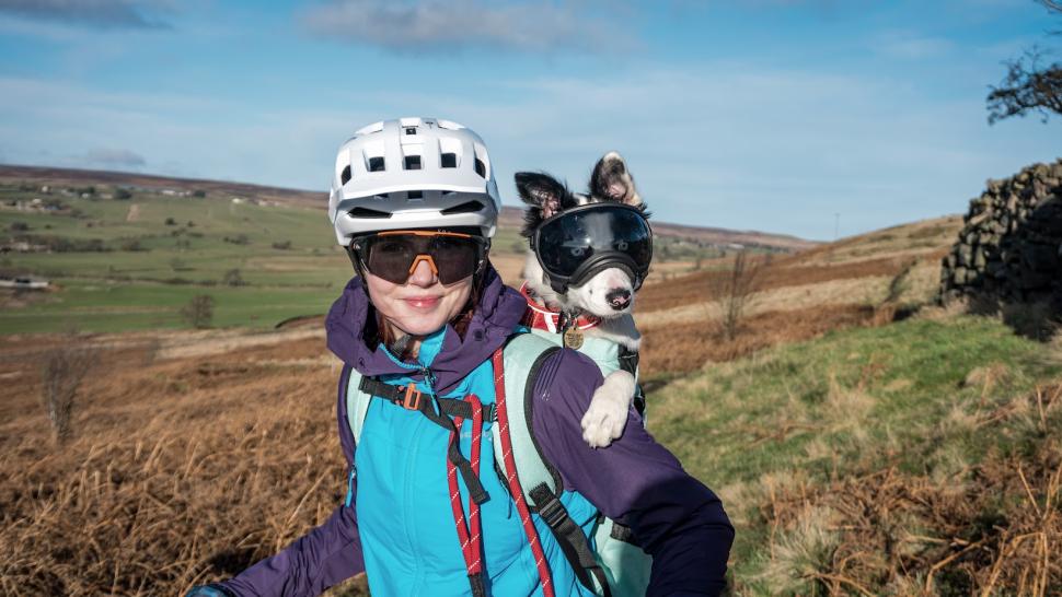 Dog in backpack