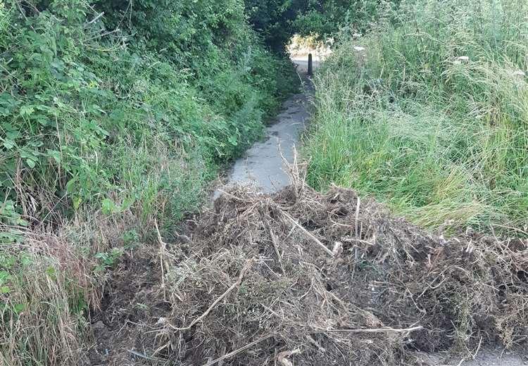 Dumped garden waste on cycle path (John O'Leary)