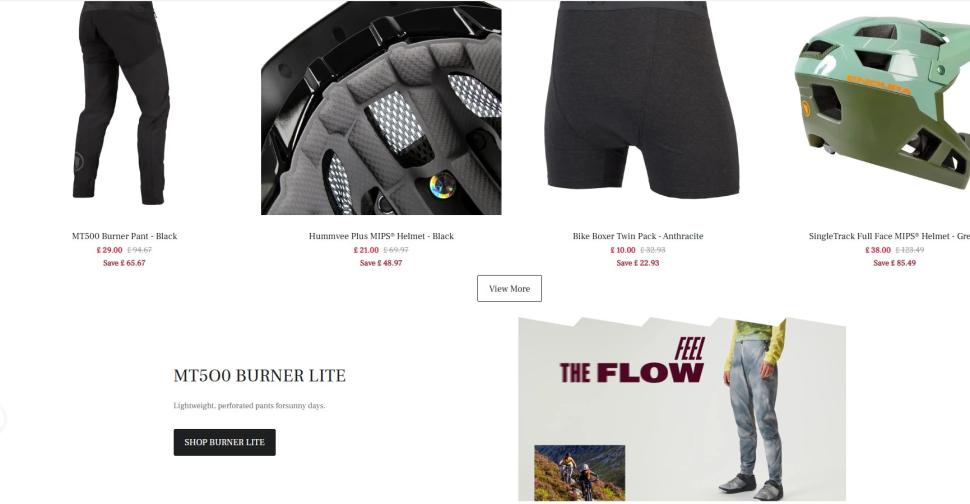 Fake Endura website