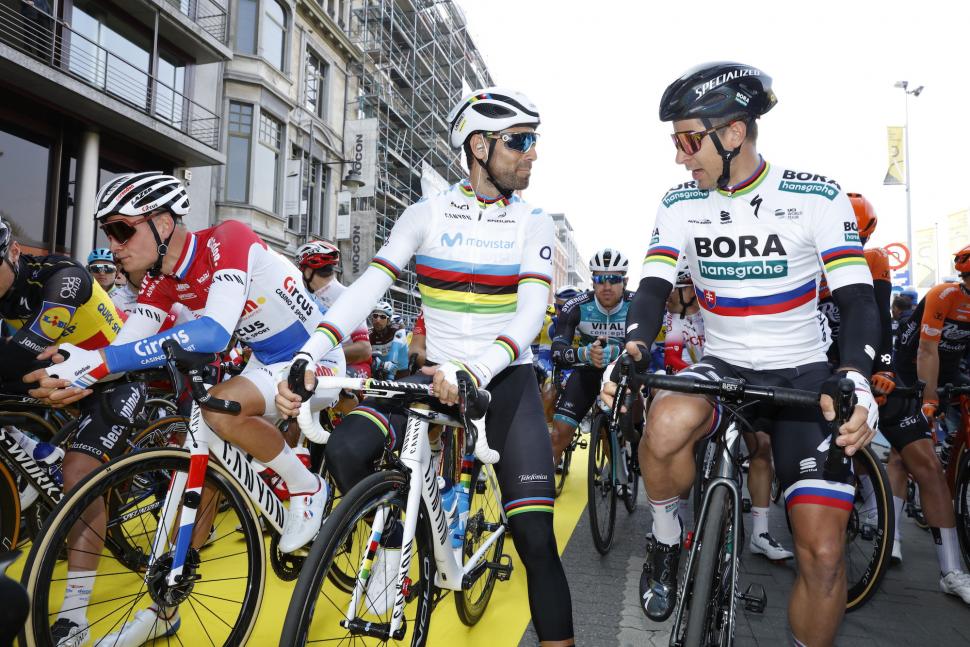 flanders 2019 3.JPG