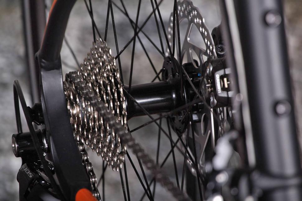 Forme Longcliffe Zero - rear hub.jpg