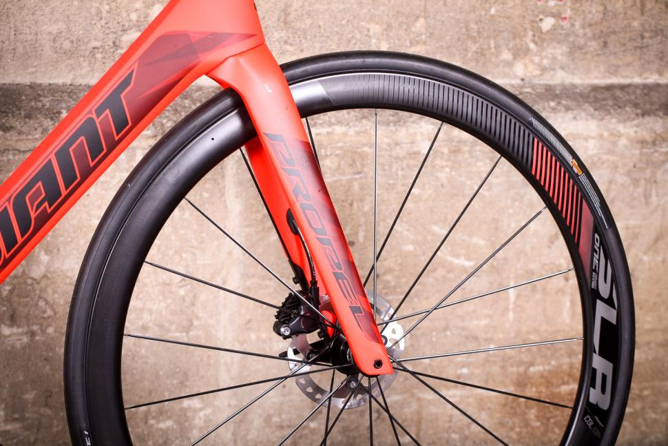 Giant Propel Advanced Disc - fork.jpg