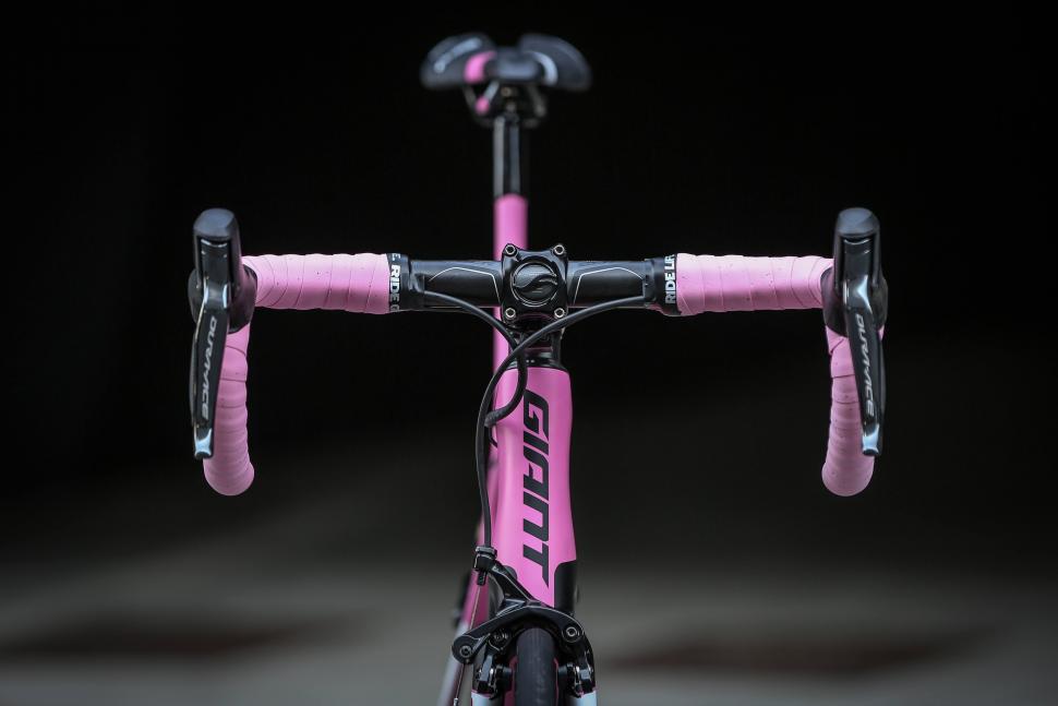 Giant_Dumoulin_Pink-006.jpg