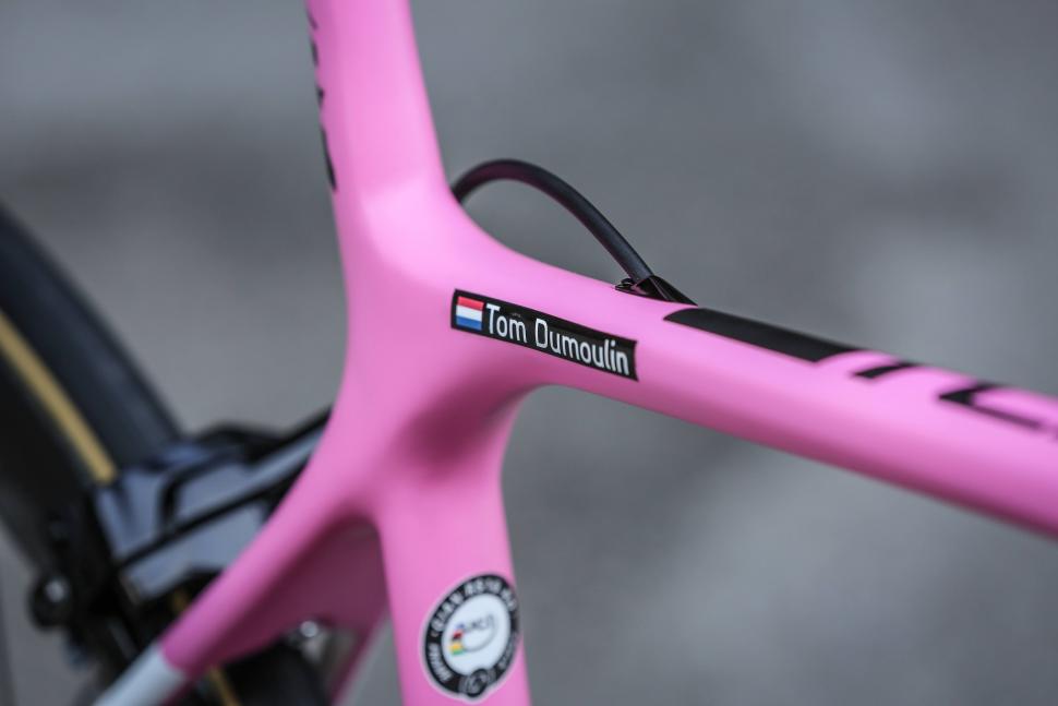 Giant_Dumoulin_Pink-009.jpg