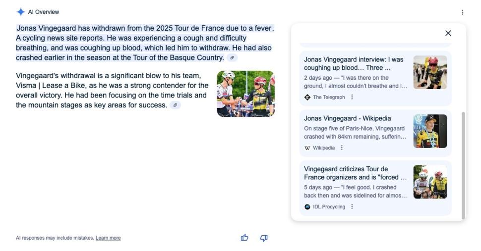 Google AI says Vingegaard is out of 2025 Tour de France