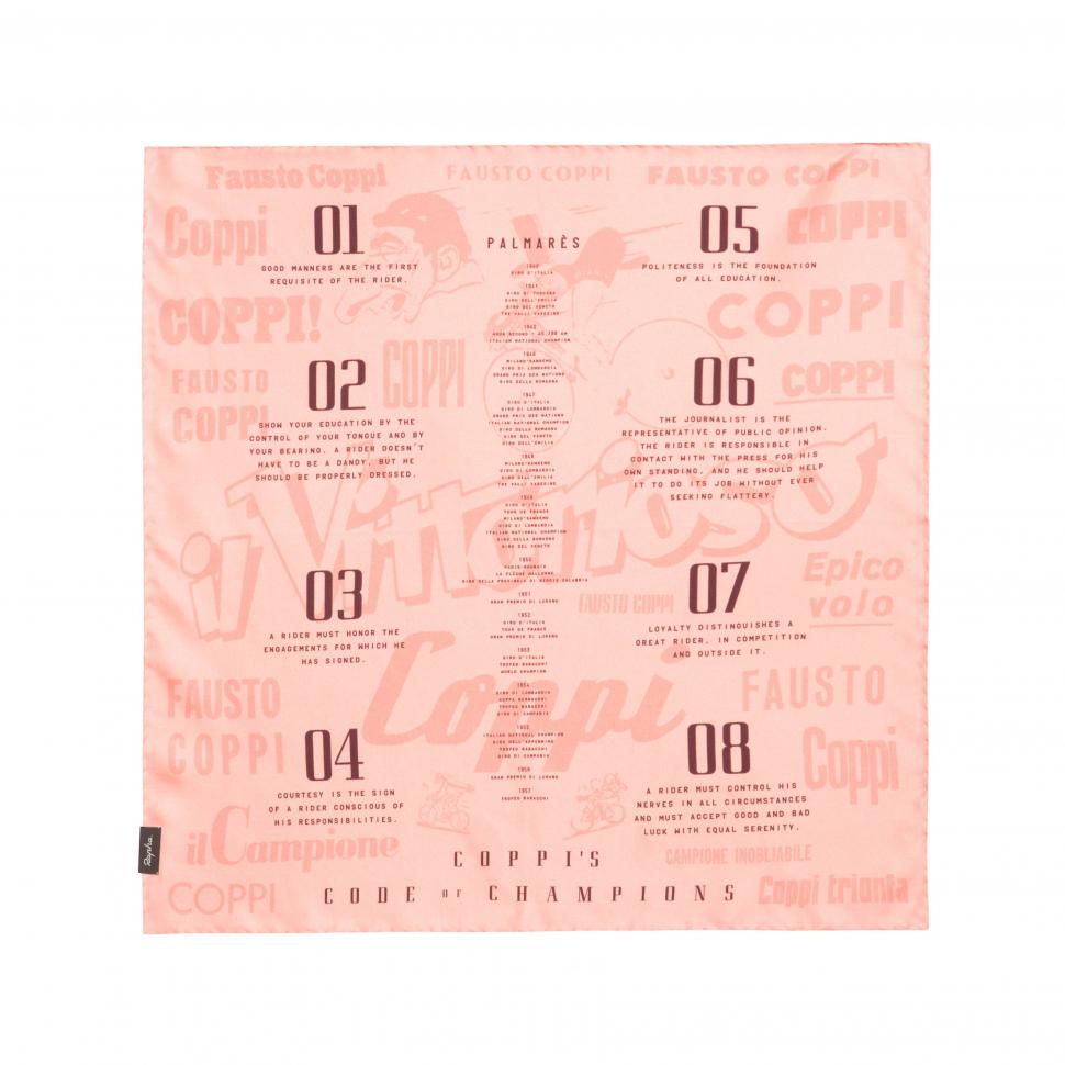 H1-17_Special-Edition_Silk Scarf_COI01XXPNK_Pink_1.jpeg