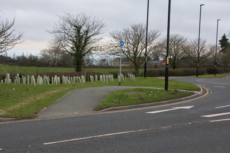 Harrogate cycle lane
