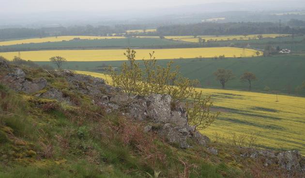 haughmond hill - via wikimedia commons.PNG