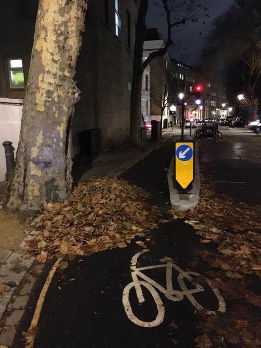 Kensington and Chelsea bike lane leaves (Rendel Harris)