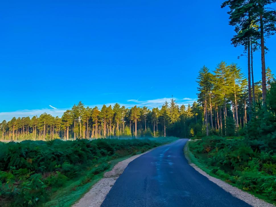 komoot downs and forest 2