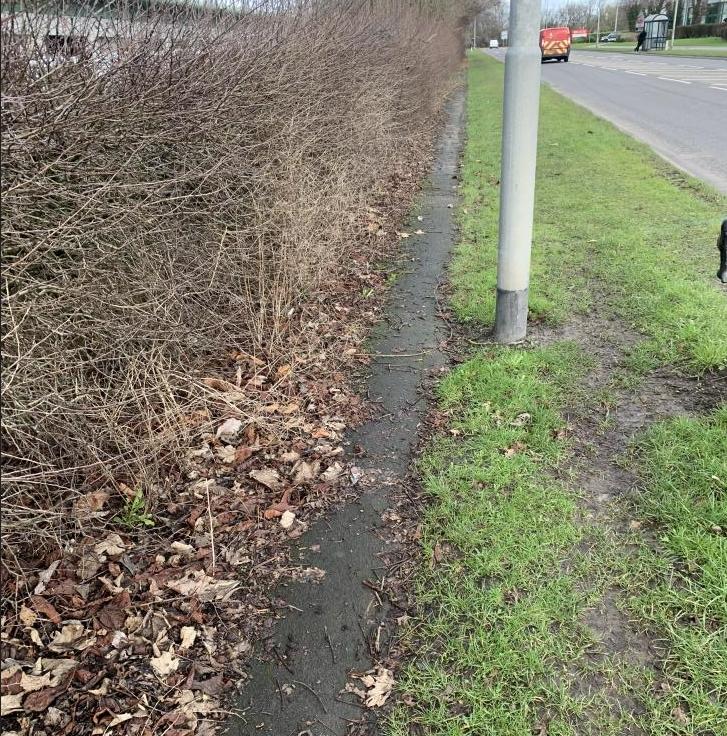 Live blog Narrow cycle lanes 6
