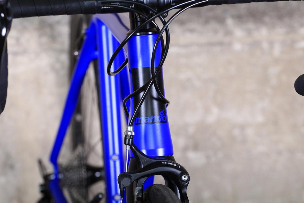 Mango Point R - head tube badge.jpg