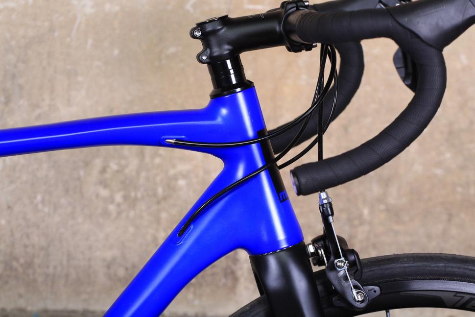Mango Point R - head tube.jpg