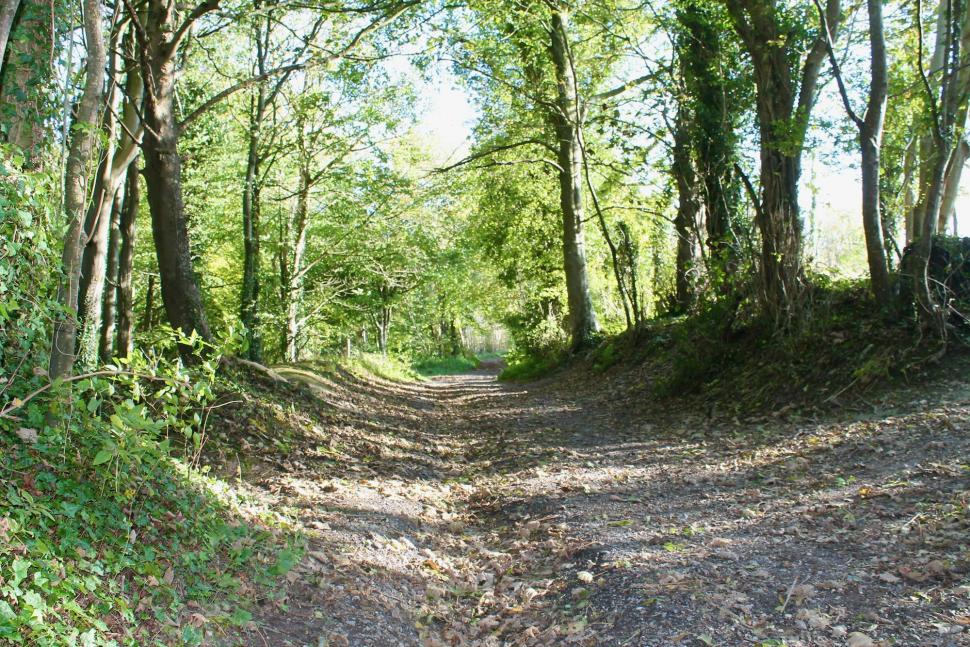 Mat's Salibury Plain blast - 10.jpeg
